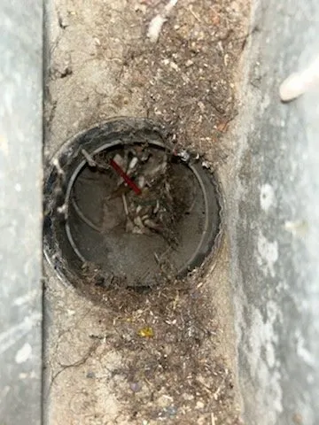 Dryer Vent Cleaning San Carlos CA